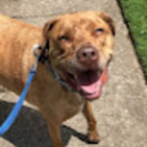 Meet your Posher, Ariana